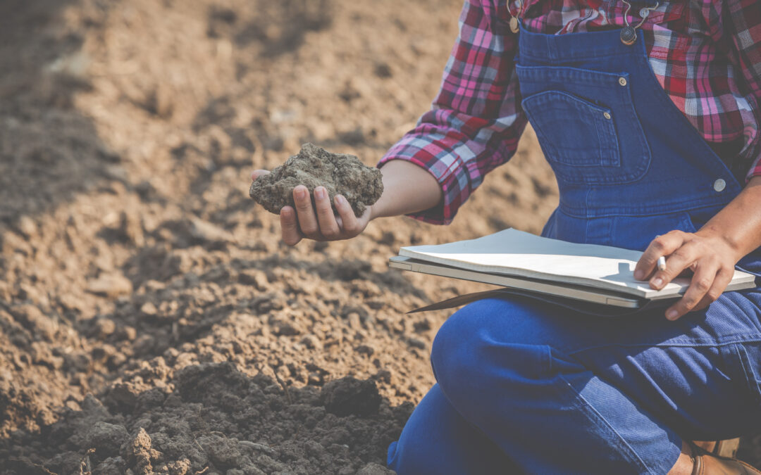 Agricultores querem seguros agrícolas públicos